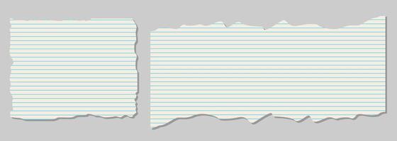 A collection of torn, white, colored, torn, and shredded paper scraps. vector