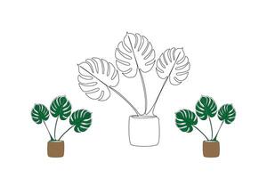 Monstera plant hand-drawn continuous one-line drawing in doodle style isolated on white background vector