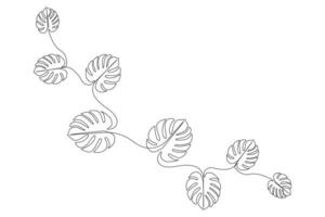 Simple botanical leaf continuous line art. Botanical outline illustration.. vector