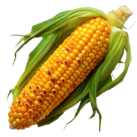 corn isolated on transparent background , png