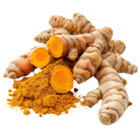 Clear and sharp focus close-up of fresh Curcuma longa roots beside a pile of turmeric powder isolated on a transparent background png