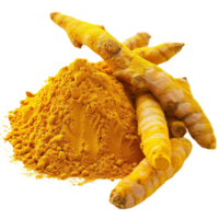 Clear and sharp focus close-up of fresh Curcuma longa roots beside a pile of turmeric powder isolated on a transparent background png