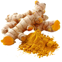 Clear and sharp focus close-up of fresh Curcuma longa roots beside a pile of turmeric powder isolated on a transparent background png