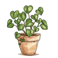 Hand-drawn doodle of a cozy indoor plant with heart-shaped leaves in a rustic clay pot, isolated on a transparent background png