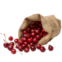 Ripe red cherries spilling out of a burlap sack, isolated on a transparent background png