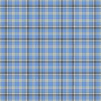 Plaid seamless pattern. background of textile ornament. Flat fabric design. vector