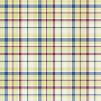 Plaid seamless pattern. background of textile ornament. Flat fabric design. vector