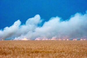 Smoke Clouds from Burning Residue in Rice Fields in Isla Mayor, Spain photo