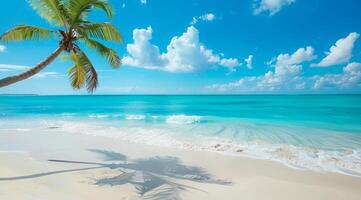 A beautiful beach with a palm tree in the foreground. Concept of relaxation, vacation and cruise photo