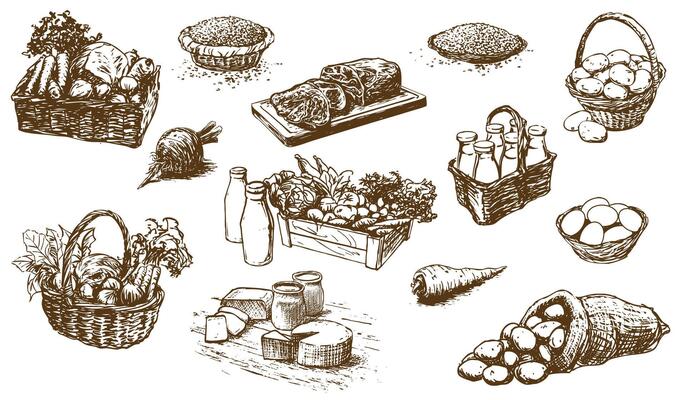 farm products - food, set of hand-drawn illustrations