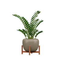 3d rendering of Zanzibar Gem plant in pot on isolated Canvas png