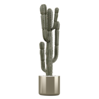 cactus in a pot isolated on Canvas png
