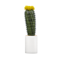 3d rendering of Barrel cactus isolated on transparent Canvas png