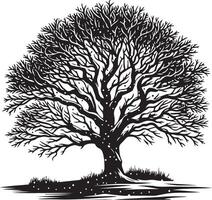 A black and white drawing of a tree with snow on the branches vector