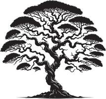 A black and white picture of a tree with a white background vector