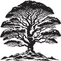 A black and white drawing of a tree with snow on the branches vector