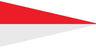Indonesia flag on a white background vector