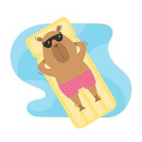 Funny capybara lying on floating air mattress vector