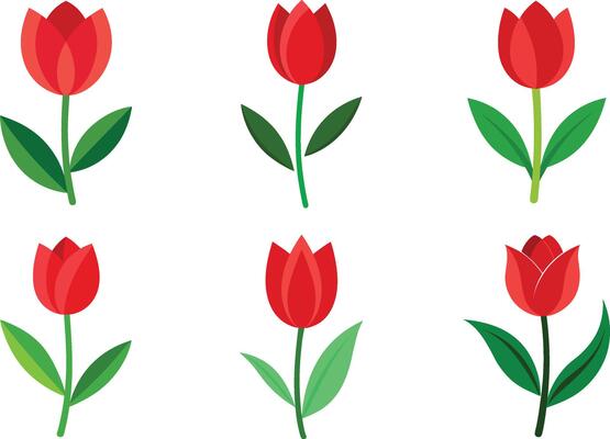 illustration of tulip flower set