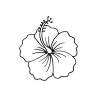 Flower of hibiscus. Hand drawn illustration in outline style. vector
