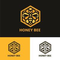 Honey bee logo in a modern hexagon clean lines and vibrant colors for versatile branding vector