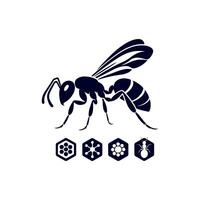 ant is a symbol of the insect, which is a symbol of the insect vector