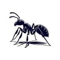 ant is a symbol of the insect, which is a symbol of the insect vector
