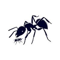 ant is a symbol of the insect, which is a symbol of the insect vector