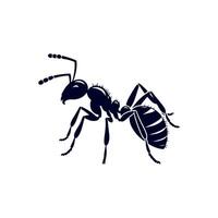 ant is a symbol of the insect, which is a symbol of the insect vector