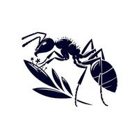ant is a symbol of the insect, which is a symbol of the insect vector
