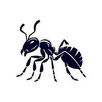 ant is a symbol of the insect, which is a symbol of the insect vector