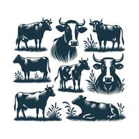 set of cows in different poses, silhouettes and backgrounds vector
