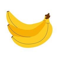 Hand drawn banana bunch in hand drawn doodle style. TRopical raw yellow fruit isolated vector
