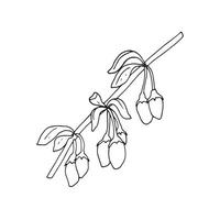 Goji berries on a branch. Hand-drawn illustration Isolated on white background. Design element for labels, posters, printing, packaging, and cards. vector