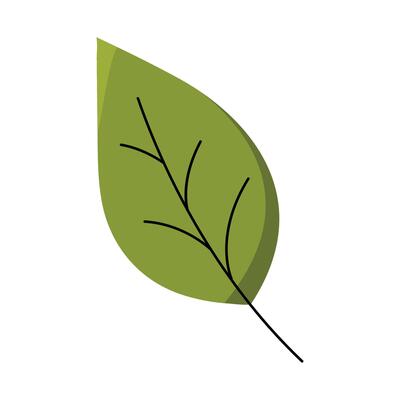Autumn fallen green leaf. A leaf of a tree. Flat illustration.