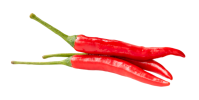Side view of fresh red chili pepper in stack isolated with clipping path in file format png
