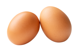 Front view of two fresh brown chicken eggs isolated with clipping path in file format png