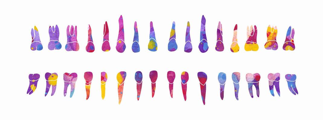 Dental Row. colorful watercolor illustration