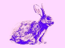 Hand Drawn Sketch Rabbit for Your Design. Psychedelic bunny vector