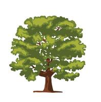 color simple illustration of a large deciduous Oak tree. vector