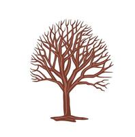 Tree with fallen leaves, bare tree. color illustration vector