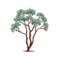Weeping willow tree deciduous bushes. color illustration vector