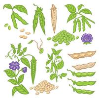 Soybean set with pods, sprouts and stems. cartoon style illustration vector