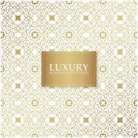 Luxury white ornament pattern design background vector