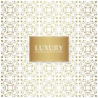 Luxury white ornament pattern design background vector