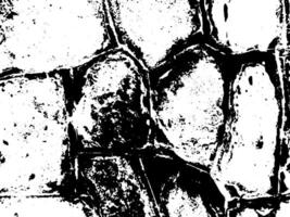 Rustic grunge texture with grain and stains. Abstract noise background. Weathered surface. vector