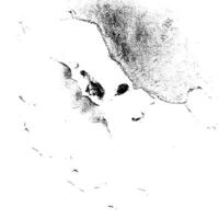 Rustic grunge texture with grain and stains. Abstract noise background. Weathered surface. vector