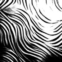 Grunge stripes and lines texture background. Abstract overlay. Dirty and damaged backdrop. vector