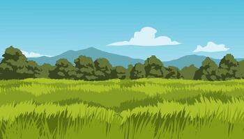 Nature landscape with plain with grass and trees vector