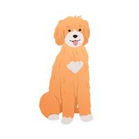 Goldendoodle sitting on white background. Adorable dog colorful cartoon illustration in flat style. Friendly curly-haired puppy vector